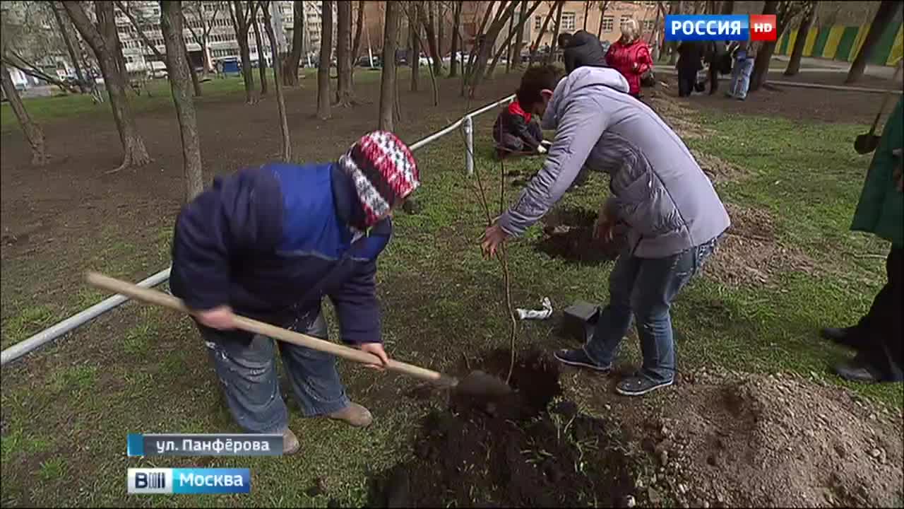В Москве проходит акция "Миллион деревьев"
