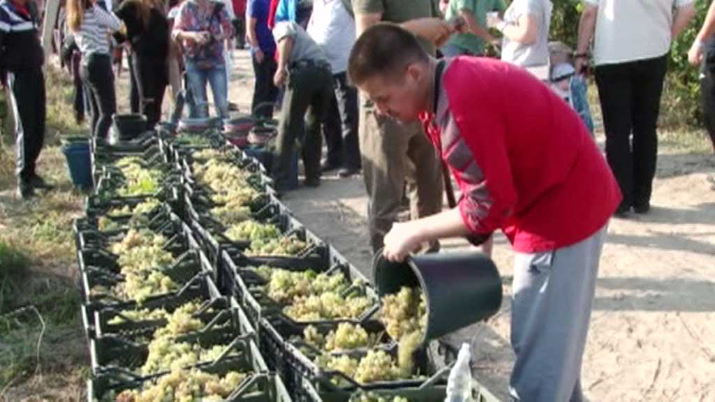 В Киргизии открылся фестиваль божоле нуво