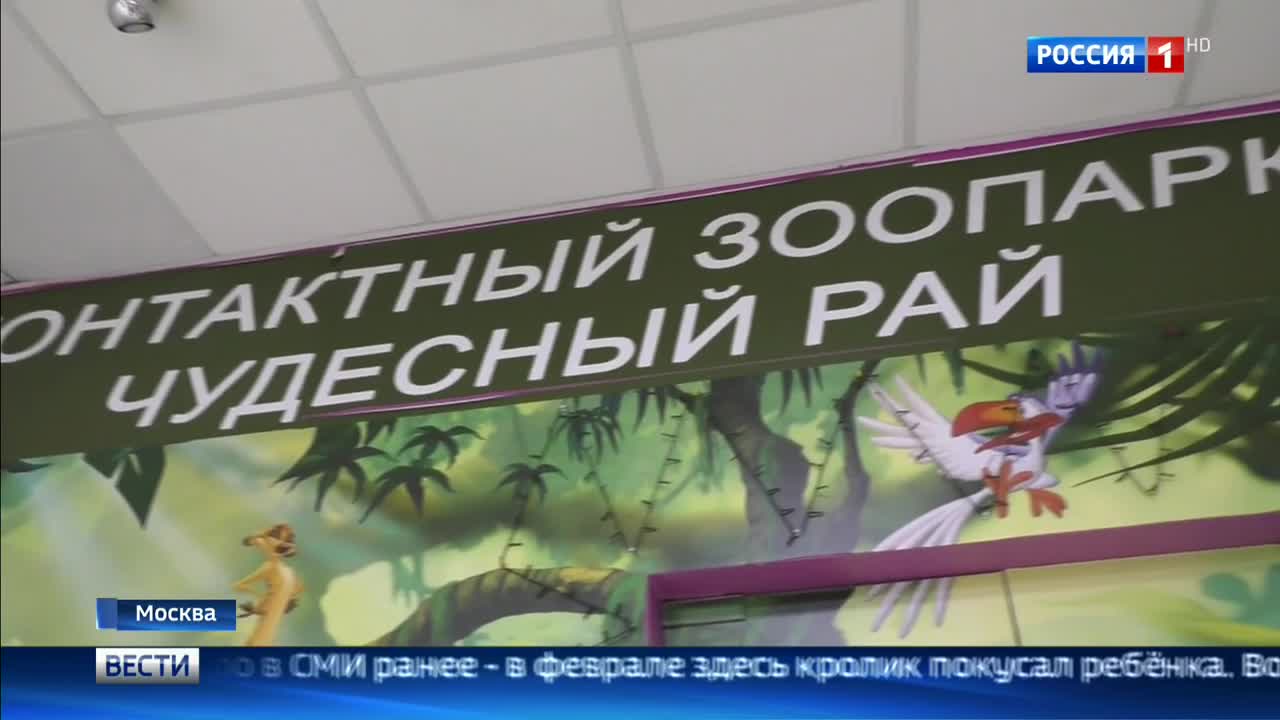 Роспотребнадзор закрыл контактный зоопарк "Чудесный рай"