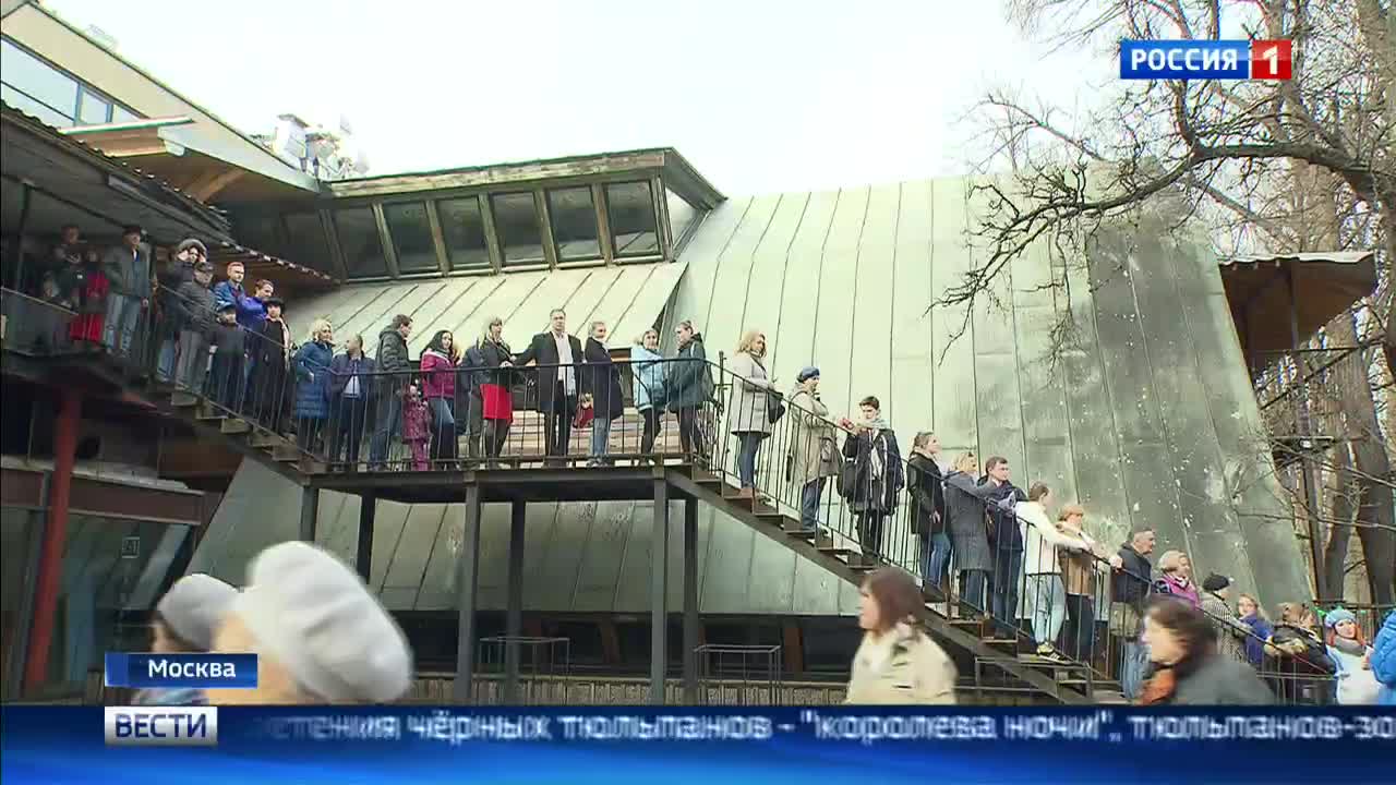 В оранжереи Аптекарского огорода выстроилась очередь