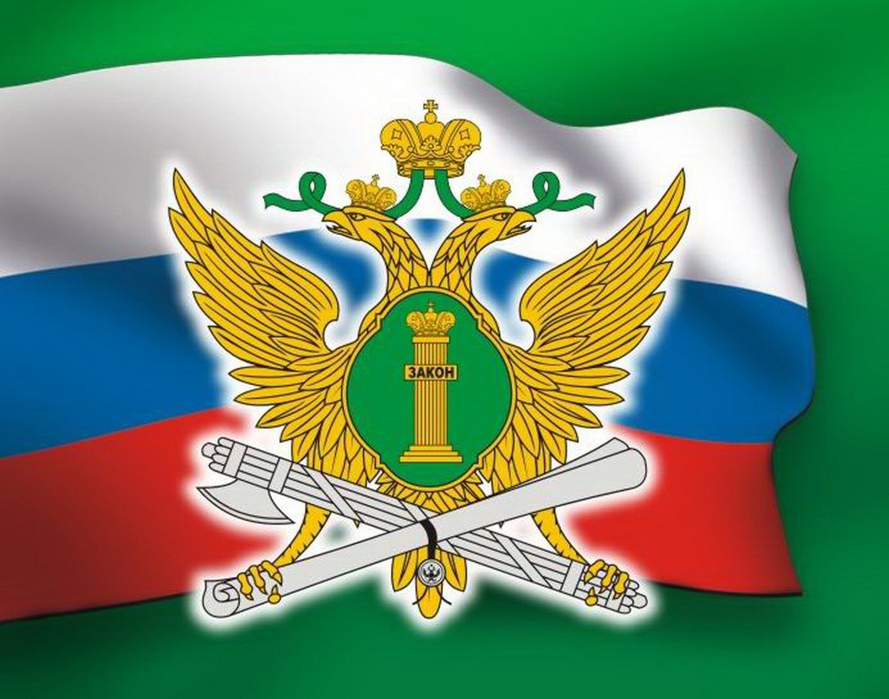 Ошибочно признанные должниками россияне смогут реабилитироваться онлайн