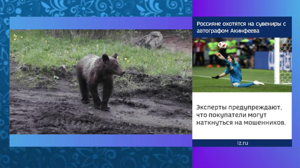 Медведи в Якутии мешают работать сотрудникам районной больницы