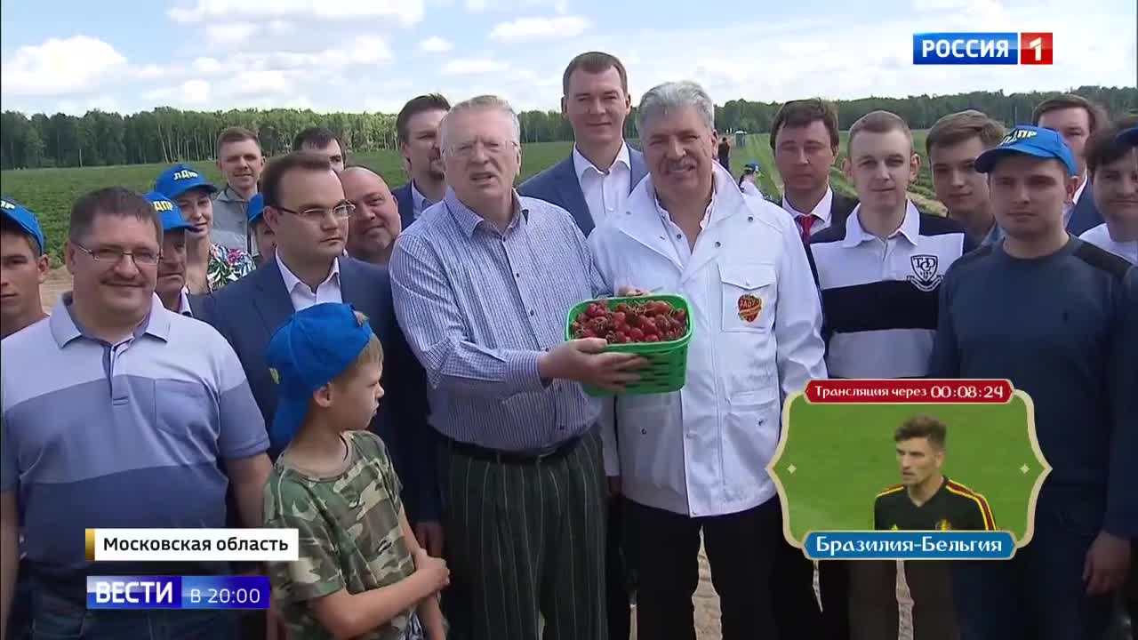Жириновский поспорил с Грудининым на клубнику