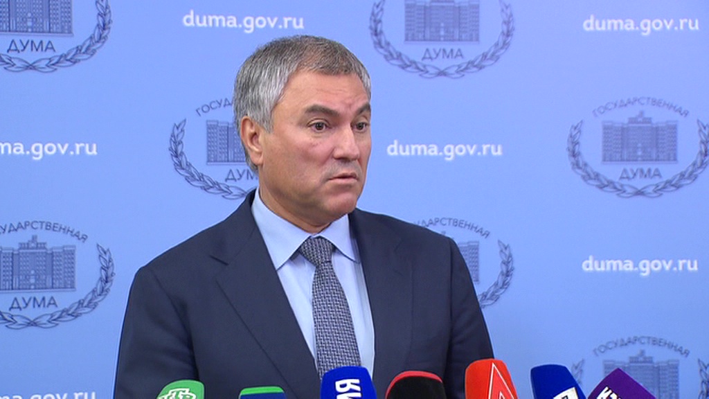 Володин о допросе Юмашевой: "Это настоящий беспредел"