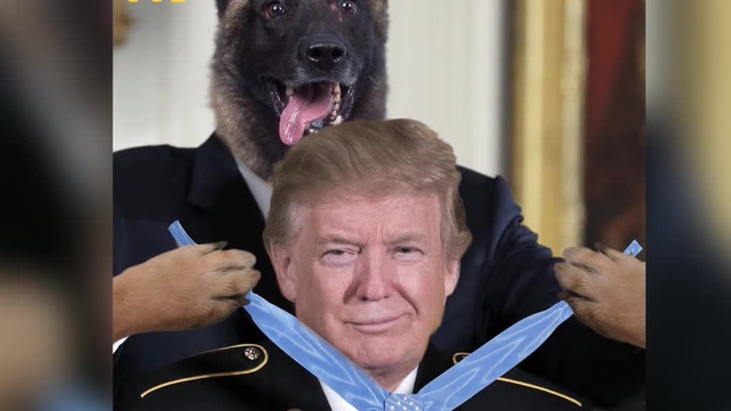 Пользователи Сети гадают: зачем Трамп опубликовал фотомонтаж с собакой