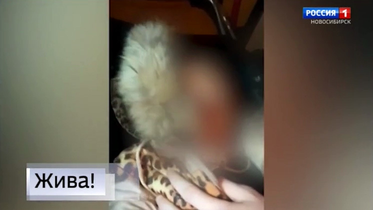 Следователи выясняют причины побега девочки, найденной живой в подвале