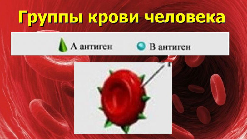 Установлена связь между группой крови и риском заболеть раком