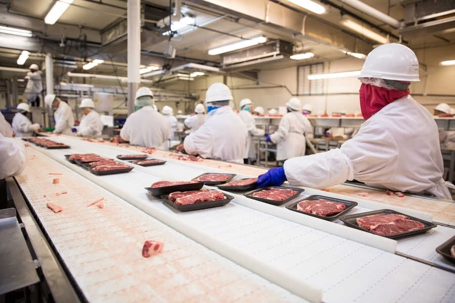В Петербурге продается один из крупнейших мясоперерабатывающих заводов