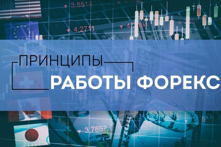 Россияне за два года потеряли на форекс-рынке более 200 млн рублей