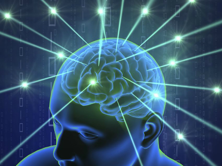 Неврологи раскритиковали проект Human Brain