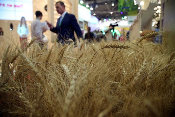 Bayer передает России цифровые технологии агроселекции