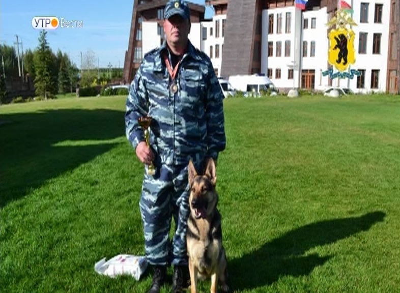 Зоркий глаз и тонкий нюх: служебная собака из Ярославля признана одной из лучших