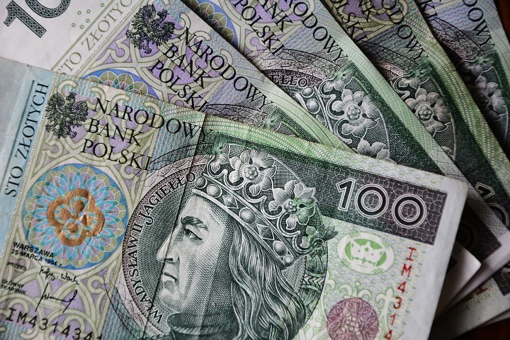 Сможет ли Польша откреститься от евро?