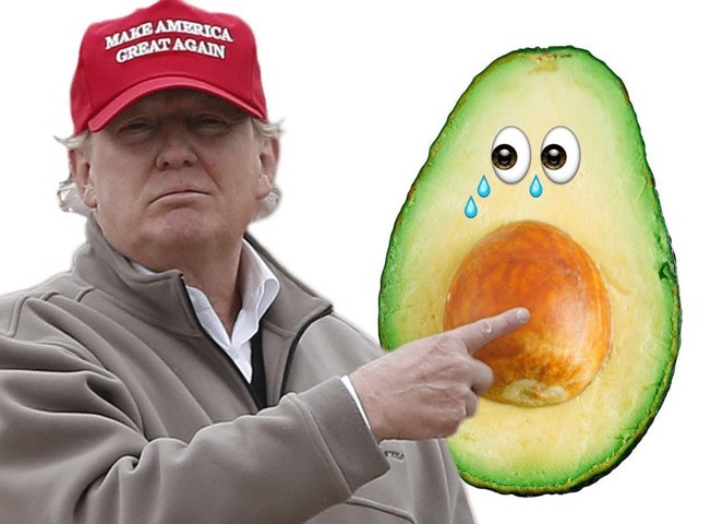 Как и почему Трамп взвинтил цены на авокадо