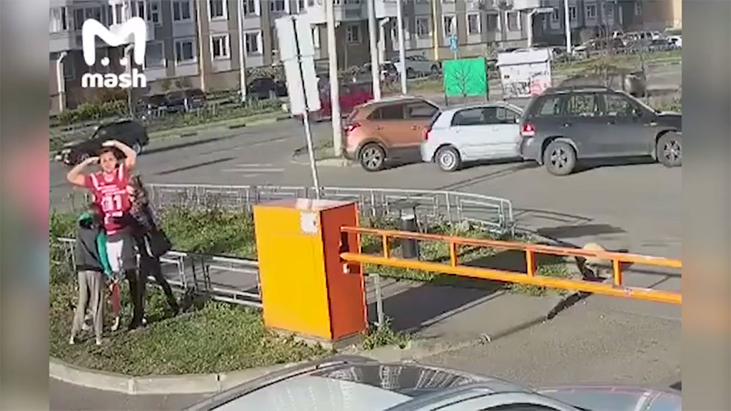"Алюминиевый" Дзюба похищен в Подмосковье