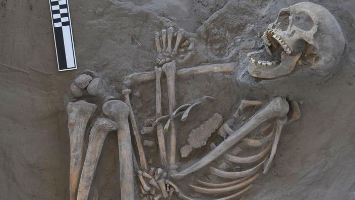 Смертельный удар бумеранга: найдена 800-летняя жертва древнего оружия
