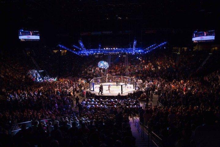 Владелец UFC проведет IPO