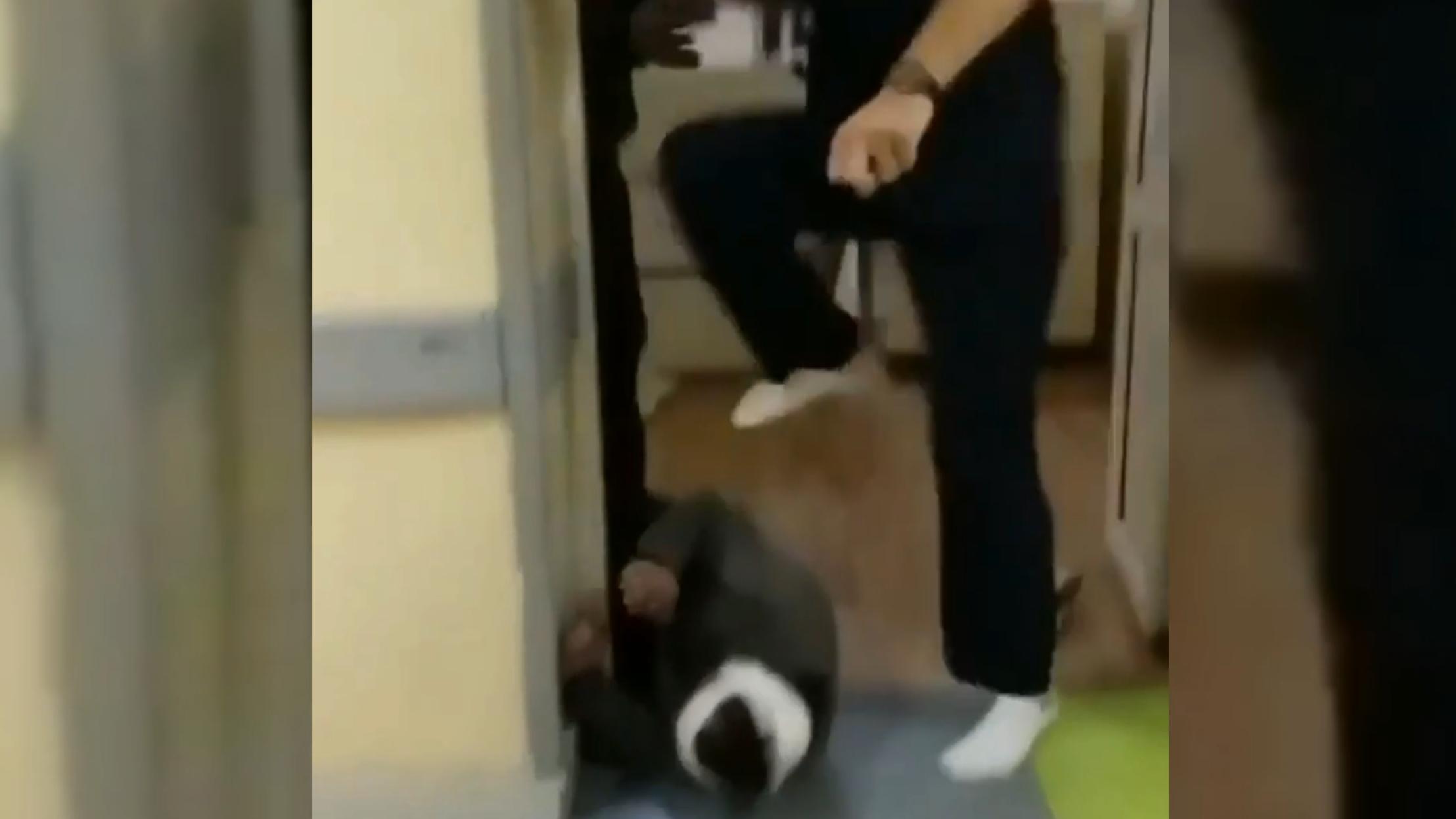 Принял бой: в Астане врач избил донимавшего его пьяного пациента