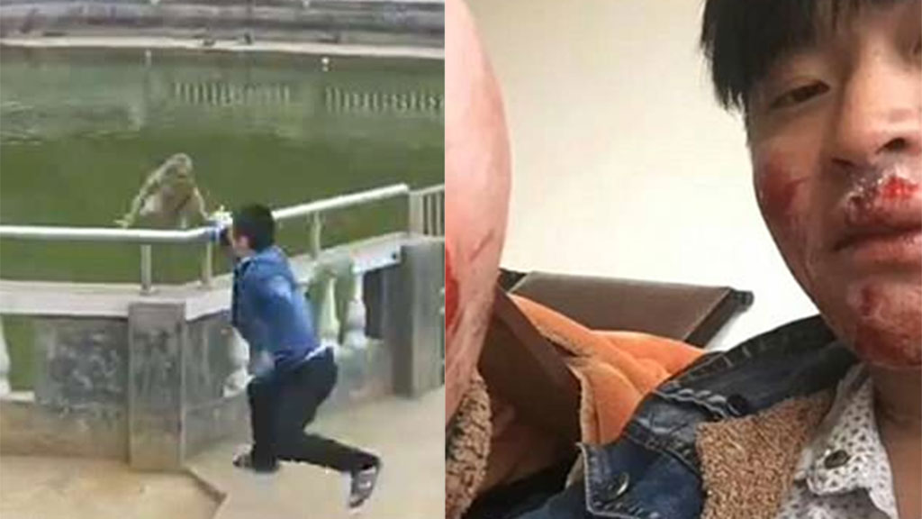 Макака отомстила туристу, скинувшему ее в пруд в китайском храме. Видео