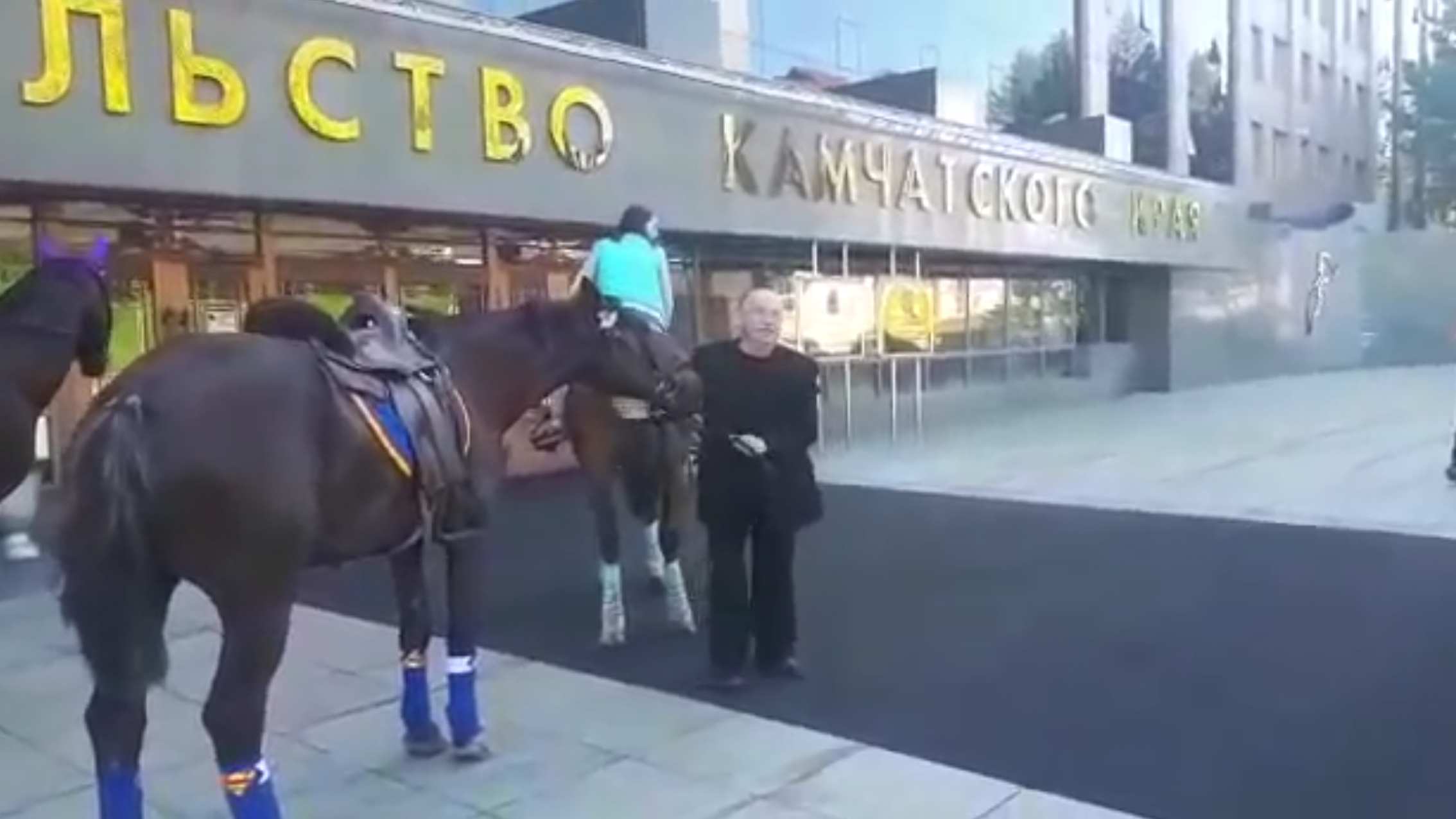 Камчатский депутат приехал на заседание верхом на коне