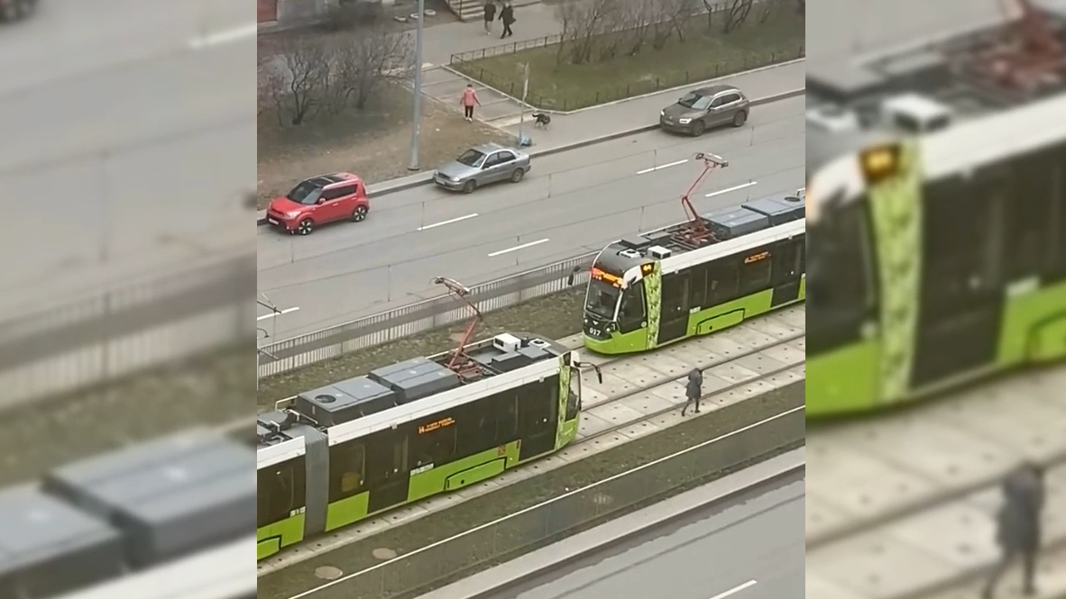 Девушка в наушниках затормозила движение трамваев в Петербурге