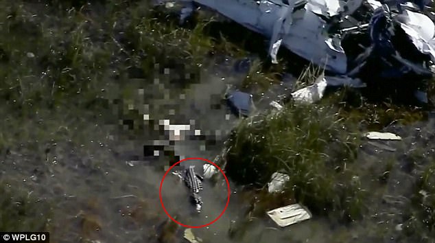 Аллигатор сожрал упавшего в болото летчика