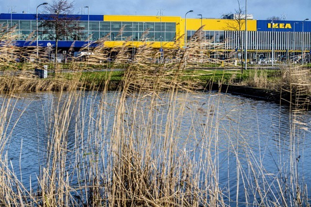 Еврокомиссия подозревает IKEA в уклонении от налогов