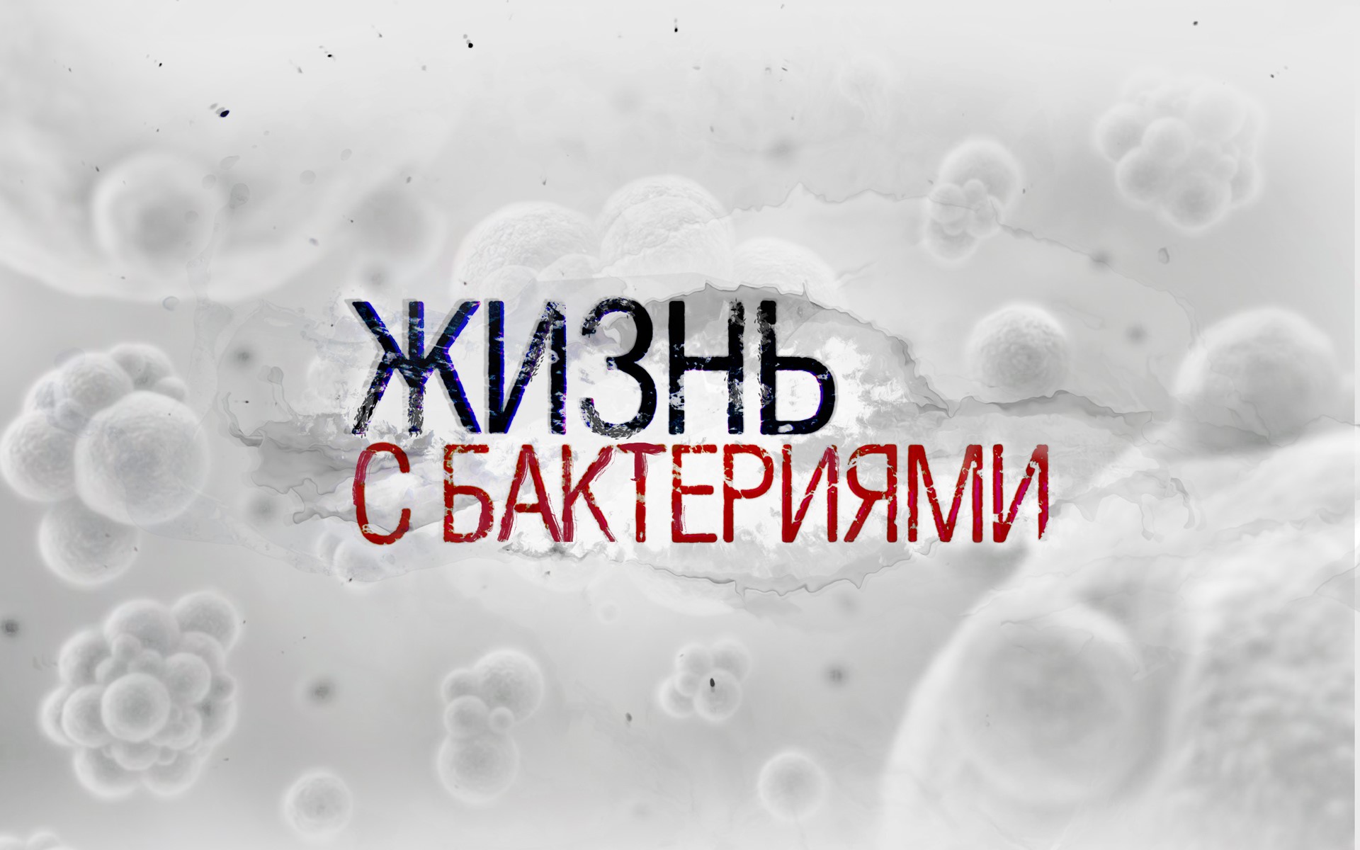 Фильм телеканала "Наука" стал победителем премии "Лавр"