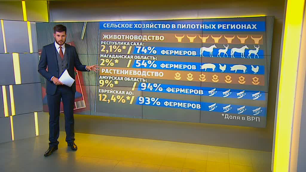 Попасть под раздачу: как сделать деньги на бесплатном гектаре Дальнего Востока