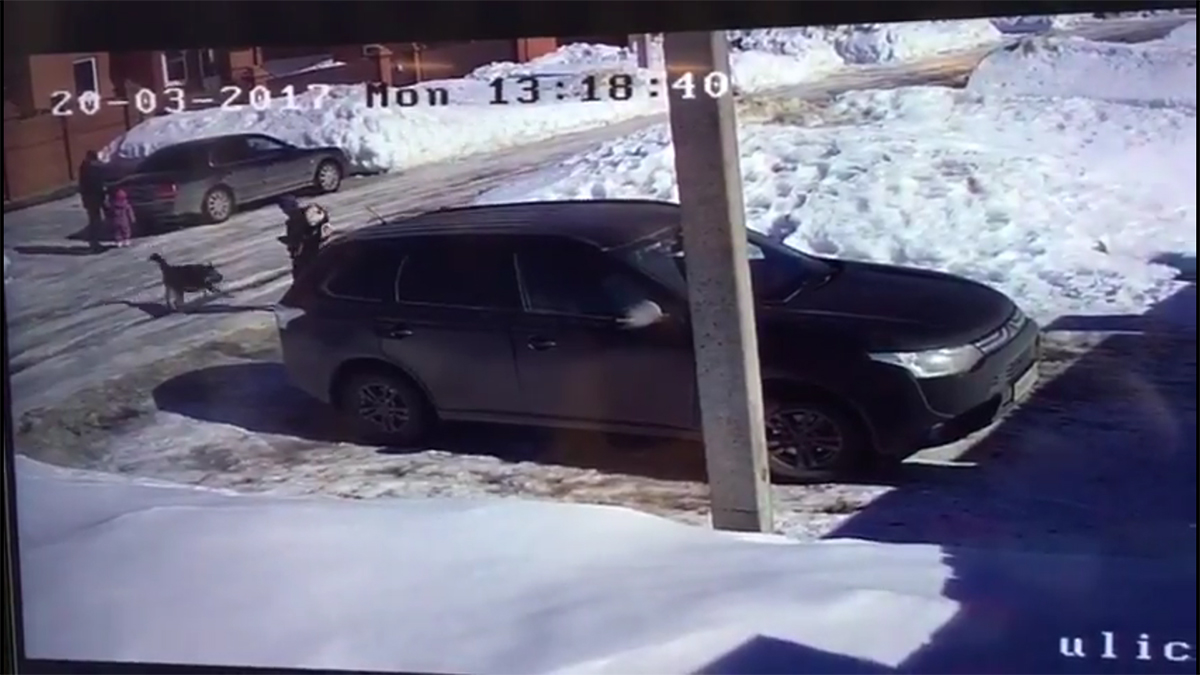 В Уфе сорвавшаяся с цепи собака покусала двух детей