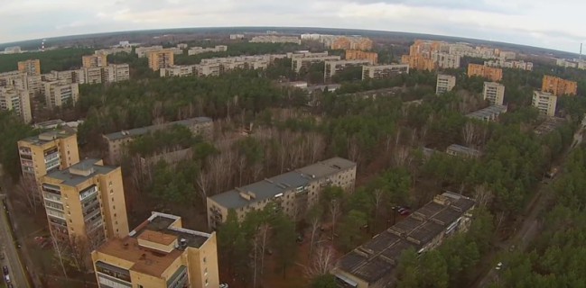 Путин: городские леса нужно внести в госкадастр