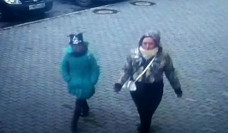 Полиция Барнаула нашла девочку, грабившую квартиры на пару с хомяком