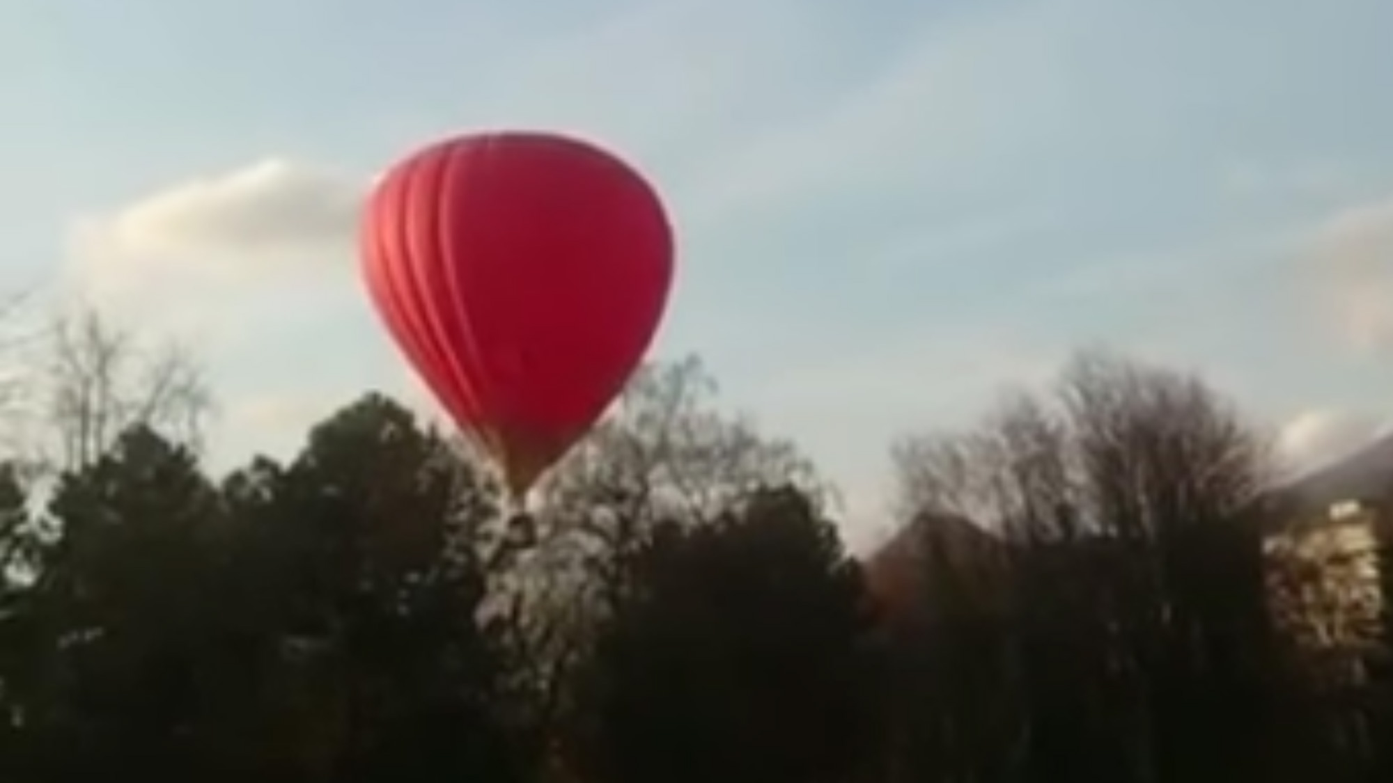 В Пятигорске воздушный шар с людьми завис на дереве. Видео