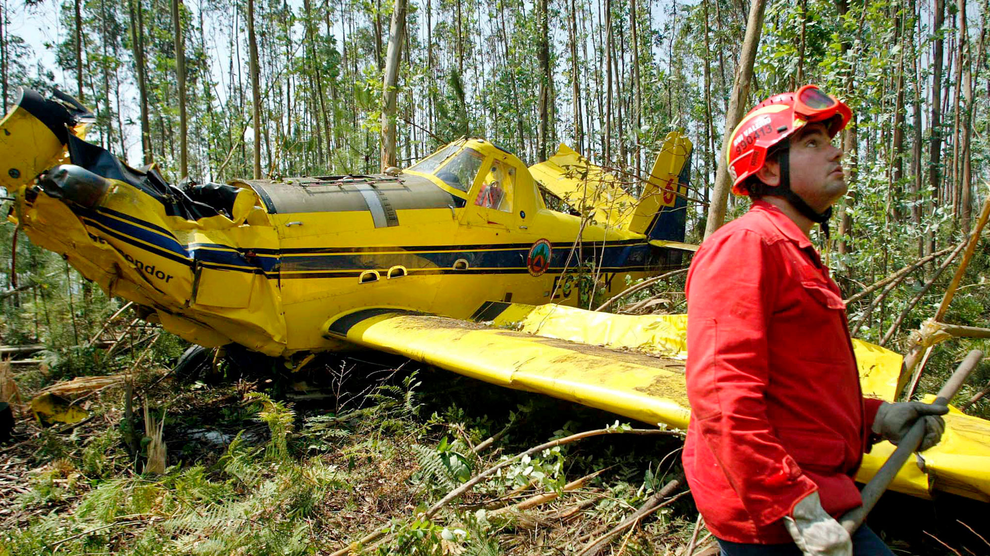Самолет-амфибия Air Tractor разбился в Канаде