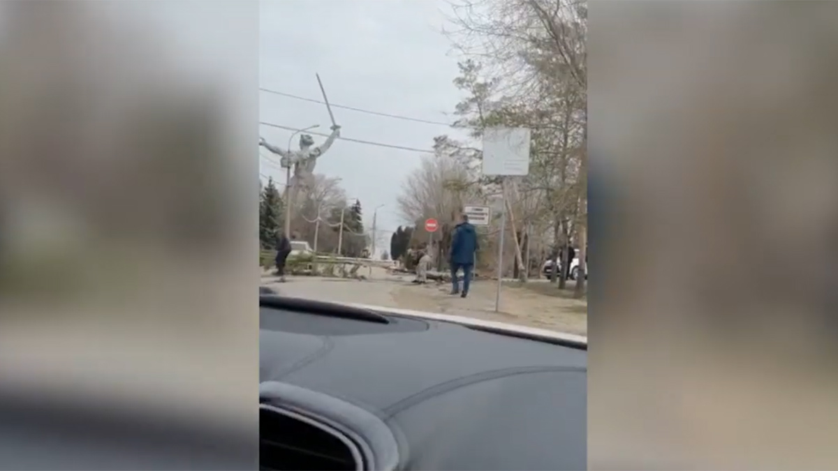 "Это не обсуждается": военные вырвали две сосны и установили их обратно