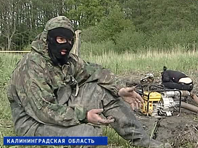 Мутная тень российского янтаря