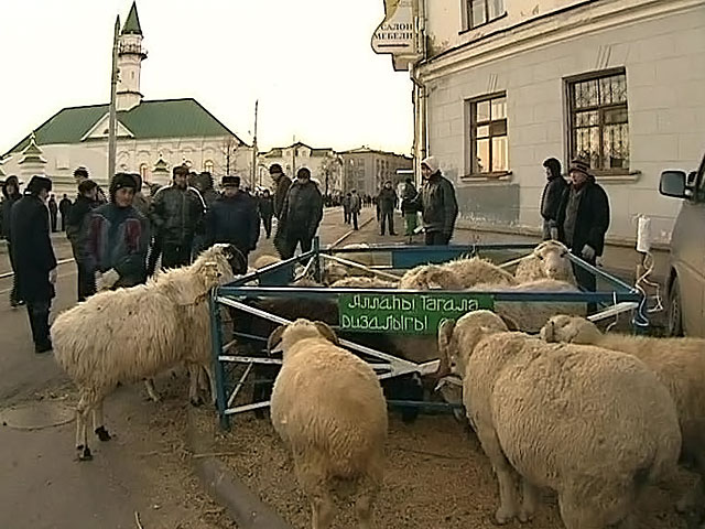 В Казани отметили Курбан-байрам гонками с исламистскими флагами
