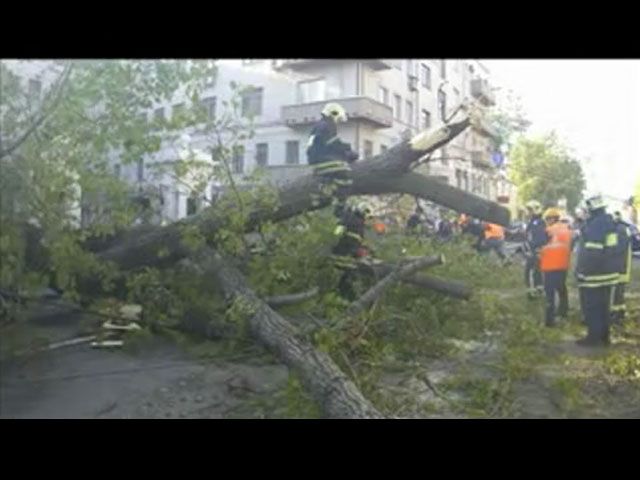 Упавшее дерево перекрыло Большую Ордынку. Видео очевидца