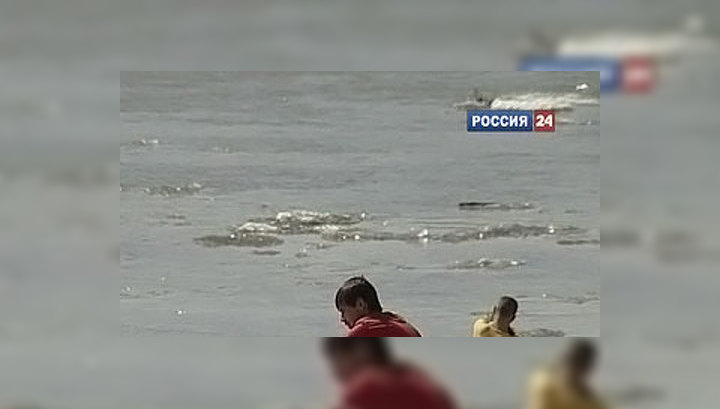 Апрельская погода поражает россиян курьезами