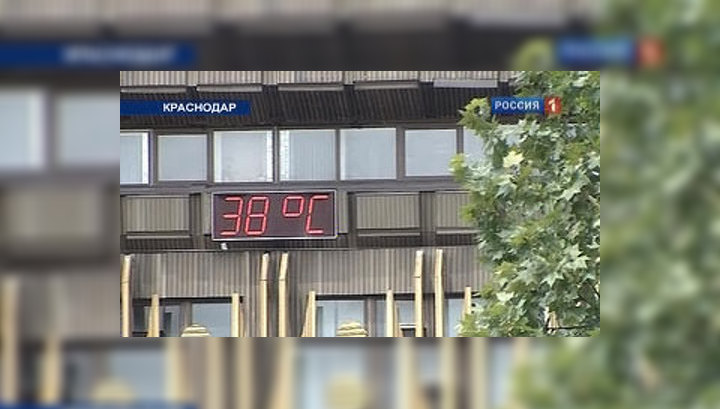 Жара на Кубани: круги в глазах и на полях