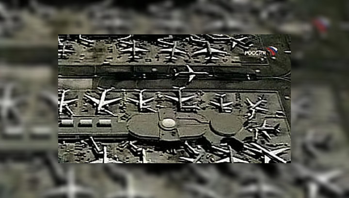 Рейс Лос-Анджелес – Ванкувер прервала птица