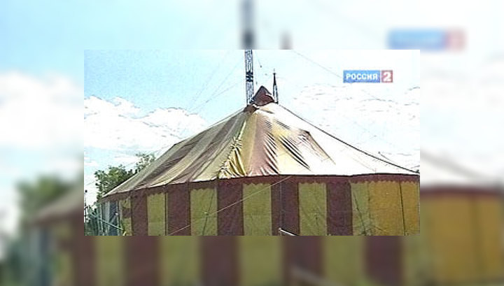 Врачи просят не убивать леопарда, покусавшего девочку