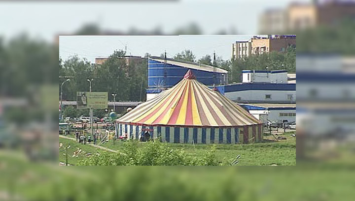 После нападения леопарда 7-летняя акробатка выжила чудом