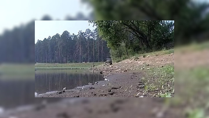 В Екатеринбурге пересохло Верхне-Макаровское водохранилище