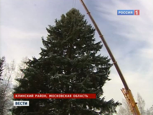 Самую достойную новогоднюю елку проводили из клинских лесов в Кремль