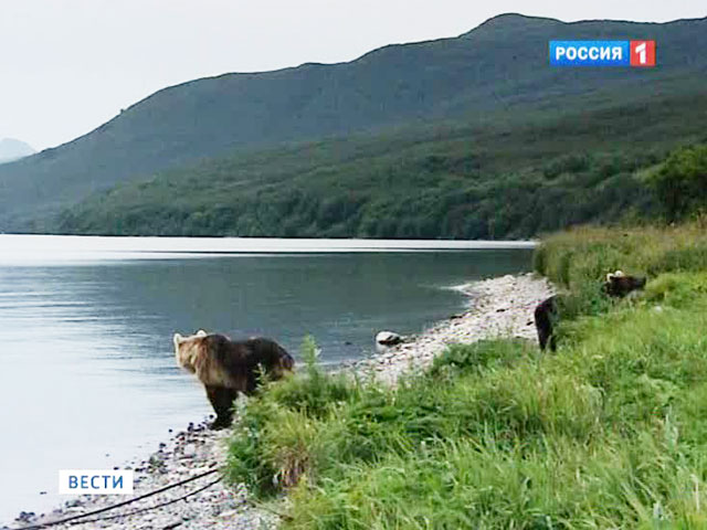 В России наступает астрономическое лето