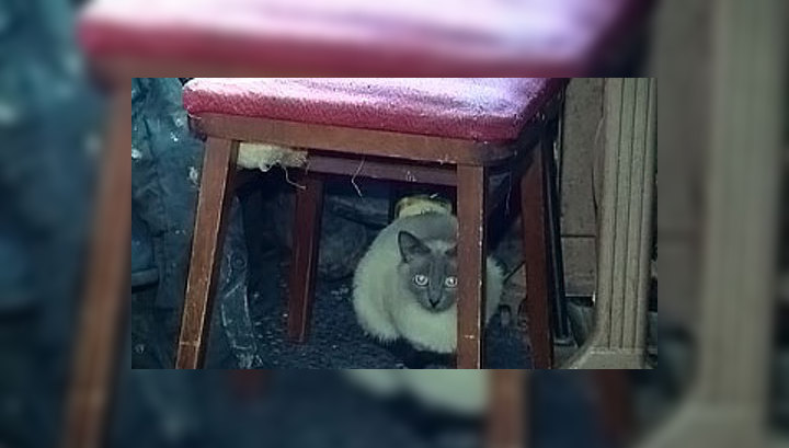 В Асбесте чиновники морочат голову погорельцам