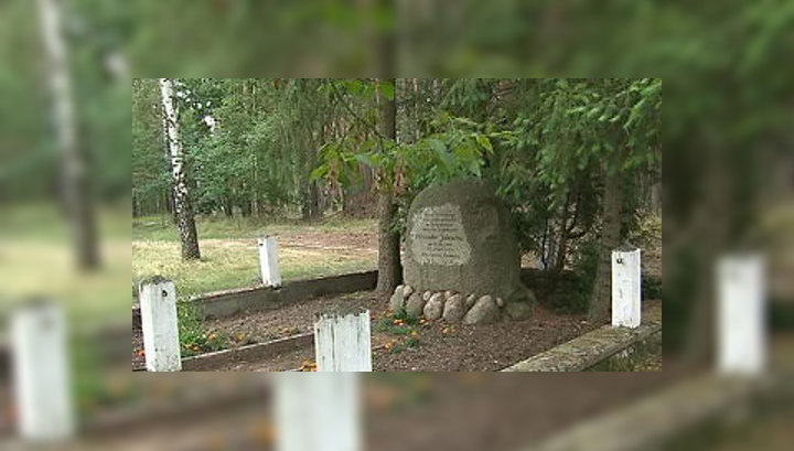 От лесных пожаров немцев спасают фотокамеры