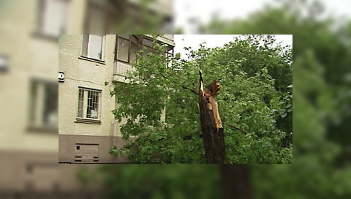 В одном из московских парков молния поразила молодую пару
