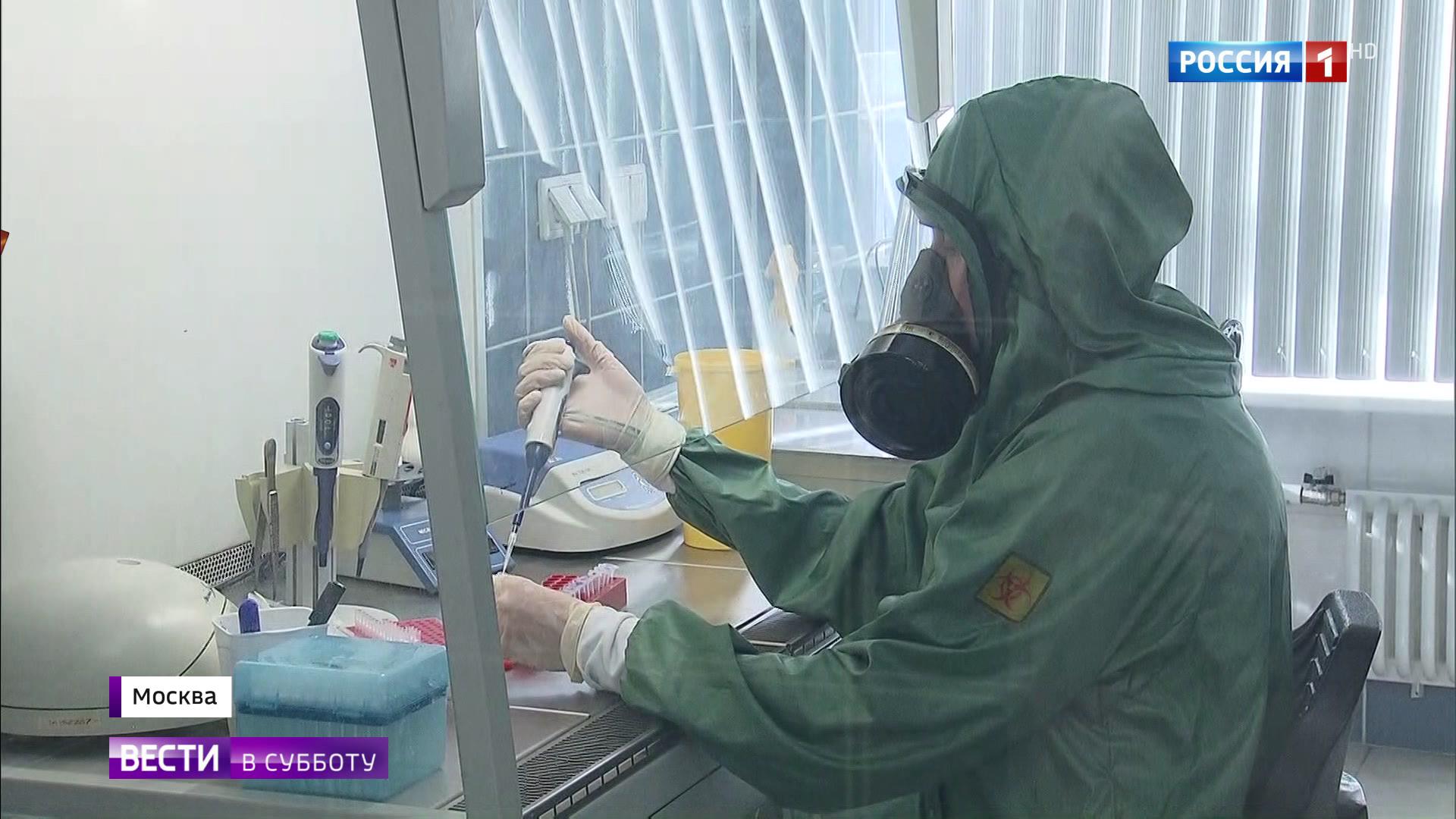 Золотой стандарт: особенности теста от Роспотребнадзора